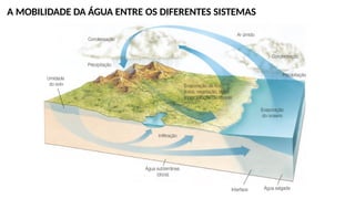 A MOBILIDADE DA ÁGUA ENTRE OS DIFERENTES SISTEMAS
 