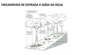 MECANISMOS DE ENTRADA X SAÍDA DA ÁGUA
 