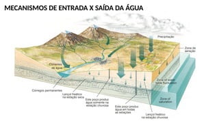 MECANISMOS DE ENTRADA X SAÍDA DA ÁGUA
 