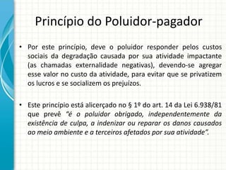 Princípio do Poluidor-pagador
• Por este princípio, deve o poluidor responder pelos custos
sociais da degradação causada por sua atividade impactante
(as chamadas externalidade negativas), devendo-se agregar
esse valor no custo da atividade, para evitar que se privatizem
os lucros e se socializem os prejuízos.
• Este princípio está alicerçado no § 1º do art. 14 da Lei 6.938/81
que prevê “é o poluidor obrigado, independentemente da
existência de culpa, a indenizar ou reparar os danos causados
ao meio ambiente e a terceiros afetados por sua atividade”.
 