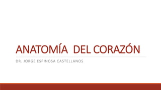 ANATOMÍA DEL CORAZÓN
DR. JORGE ESPINOSA CASTELLANOS
 