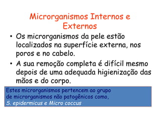 Microrganismos Internos e
Externos
• Os microrganismos da pele estão
localizados na superfície externa, nos
poros e no cabelo.
• A sua remoção completa é difícil mesmo
depois de uma adequada higienização das
mãos e do corpo.
Estes microrganismos pertencem ao grupo
de microrganismos não patogênicos como,
S. epidermicus e Micro coccus
 