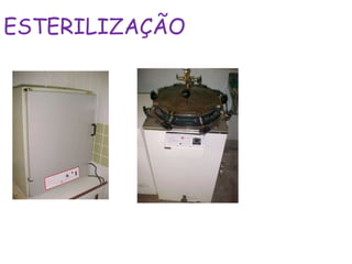 ESTERILIZAÇÃO
 