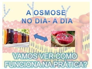 Higiene Pessoal, do Ambiente e da Produção