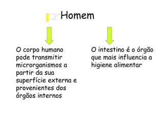 Homem
O corpo humano
pode transmitir
microrganismos a
partir da sua
superfície externa e
provenientes dos
órgãos internos
O intestino é o órgão
que mais influencia a
higiene alimentar
 