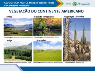 GEOGRAFIA, 8º ANO, Os principais aspectos físicos
do Continente Americano
VEGETAÇÃO DO CONTINENTE AMERICANO
http://fotos.sapo.pt/GIzG09gZd
s5d0RNSSVzk/s320x240
Tundra
Fonte/imagem:margarida-pedrosa.blogspot.com
Taiga
Fonte/imagem:www.geografia.seed.pr.gov.br
Floresta Temperada
Fonte/imagem:www.alunosonline.com.br
Fonte/imagem:biodireitomedicina.wordpress.com Fonte/imagem:pt.wikipedia.org
Vegetação Desértica
Pradarias
 