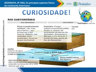 GEOGRAFIA, 8º ANO, Os principais aspectos físicos
do Continente Americano
Fonte/imagem/texto:savetheanimalsincludeyou.com
Fonte/imagem:es.123rf.com
 