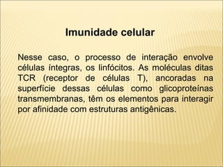 Imunidade celular
Nesse caso, o processo de interação envolve
células íntegras, os linfócitos. As moléculas ditas
TCR (receptor de células T), ancoradas na
superfície dessas células como glicoproteínas
transmembranas, têm os elementos para interagir
por afinidade com estruturas antigênicas.
 