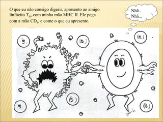 Nhã..
Nhã...
O que eu não consigo digerir, apresento ao amigo
linfócito TH, com minha mão MHC II. Ele pega
com a mão CD4, e come o que eu apresento.
 