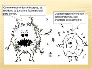 Com o tempero dos anticorpos, os
resíduos se juntam e fica mais fácil
para comer. Quando estou eliminando
estas proteínas, sou
chamado de plasmócito
 