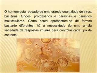 O homem está rodeado de uma grande quantidade de vírus,
bactérias, fungos, protozoários e parasitas e parasitos
multicelulares. Como estes apresentam-se de formas
bastante diferentes, há a necessidade de uma ampla
variedade de respostas imunes para controlar cada tipo de
contacto.
 