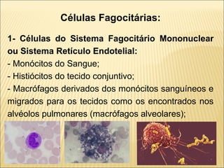 Células Fagocitárias:
1- Células do Sistema Fagocitário Mononuclear
ou Sistema Retículo Endotelial:
- Monócitos do Sangue;
- Histiócitos do tecido conjuntivo;
- Macrófagos derivados dos monócitos sanguíneos e
migrados para os tecidos como os encontrados nos
alvéolos pulmonares (macrófagos alveolares);
 