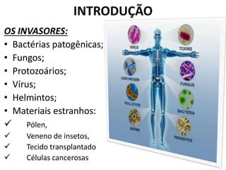 INTRODUÇÃO
OS INVASORES:
• Bactérias patogênicas;
• Fungos;
• Protozoários;
• Vírus;
• Helmintos;
• Materiais estranhos:
 Pólen,
 Veneno de insetos,
 Tecido transplantado
 Células cancerosas
 