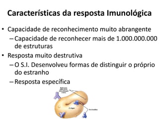 Características da resposta Imunológica
• Capacidade de reconhecimento muito abrangente
–Capacidade de reconhecer mais de 1.000.000.000
de estruturas
• Resposta muito destrutiva
–O S.I. Desenvolveu formas de distinguir o próprio
do estranho
–Resposta específica
 