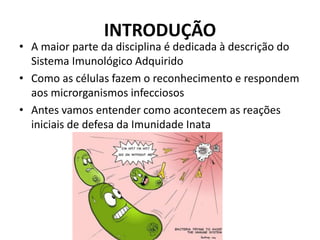 INTRODUÇÃO
• A maior parte da disciplina é dedicada à descrição do
Sistema Imunológico Adquirido
• Como as células fazem o reconhecimento e respondem
aos microrganismos infecciosos
• Antes vamos entender como acontecem as reações
iniciais de defesa da Imunidade Inata
 