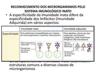 RECONHECIMENTO DOS MICRORGANISMOS PELO
SISTEMA IMUNOLÓGICO INATO
• A especificidade da Imunidade Inata difere da
especificidade dos linfócitos (Imunidade
Adquirida) em vários aspectos:
• Os componentes da Imunidade Inata reconhecem
estruturas comuns a diversas classes de
microrganismos
 