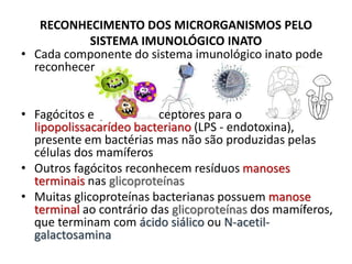 RECONHECIMENTO DOS MICRORGANISMOS PELO
SISTEMA IMUNOLÓGICO INATO
• Cada componente do sistema imunológico inato pode
reconhecer
• Fagócitos expressam receptores para o
lipopolissacarídeo bacteriano (LPS - endotoxina),
presente em bactérias mas não são produzidas pelas
células dos mamíferos
• Outros fagócitos reconhecem resíduos manoses
terminais nas glicoproteínas
• Muitas glicoproteínas bacterianas possuem manose
terminal ao contrário das glicoproteínas dos mamíferos,
que terminam com ácido siálico ou N-acetil-
galactosamina
 