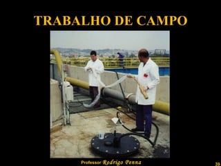 TRABALHO DE CAMPO 