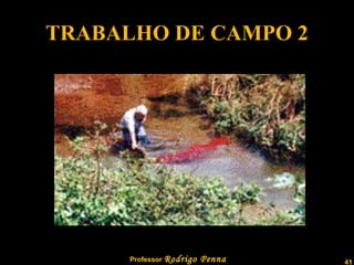 TRABALHO DE CAMPO 2 