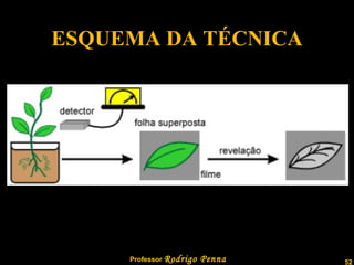 ESQUEMA DA TÉCNICA 