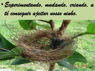 • Experimentando, mudando, criando, a
  té conseguir ajeitar nosso ninho.
 