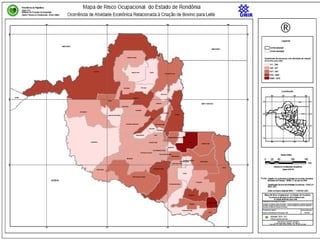 Elaboração de mapa de risco ocupacional no Estado de Rondônia
baseado em tecnologia de Georeferenciamento
 