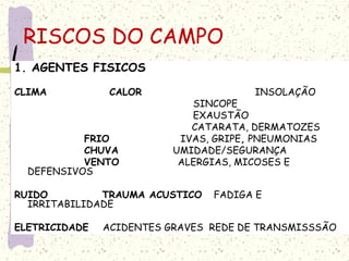 RISCOS DO CAMPO
1. AGENTES FISICOS
CLIMA CALOR INSOLAÇÃO
SINCOPE
EXAUSTÃO
CATARATA, DERMATOZES
FRIO IVAS, GRIPE, PNEUMONIAS
CHUVA UMIDADE/SEGURANÇA
VENTO ALERGIAS, MICOSES E
DEFENSIVOS
RUIDO TRAUMA ACUSTICO FADIGA E
IRRITABILIDADE
ELETRICIDADE ACIDENTES GRAVES REDE DE TRANSMISSSÃO
 