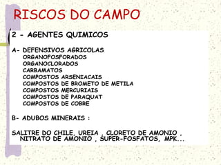 2 - AGENTES QUIMICOS
A- DEFENSIVOS AGRICOLAS
ORGANOFOSFORADOS
ORGANOCLORADOS
CARBAMATOS
COMPOSTOS ARSENIACAIS
COMPOSTOS DE BROMETO DE METILA
COMPOSTOS MERCURIAIS
COMPOSTOS DE PARAQUAT
COMPOSTOS DE COBRE
B- ADUBOS MINERAIS :
SALITRE DO CHILE, UREIA , CLORETO DE AMONIO ,
NITRATO DE AMONIO , SUPER-FOSFATOS, MPK...
RISCOS DO CAMPO
 