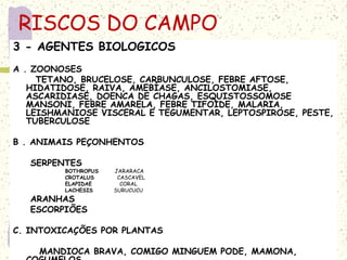 3 - AGENTES BIOLOGICOS
A . ZOONOSES
TETANO, BRUCELOSE, CARBUNCULOSE, FEBRE AFTOSE,
HIDATIDOSE, RAIVA, AMEBÍASE, ANCILOSTOMIASE,
ASCARIDIASE, DOENCA DE CHAGAS, ESQUISTOSSOMOSE
MANSONI, FEBRE AMARELA, FEBRE TIFOIDE, MALARIA,
LEISHMANIOSE VISCERAL E TEGUMENTAR, LEPTOSPIROSE, PESTE,
TUBERCULOSE
B . ANIMAIS PEÇONHENTOS
SERPENTES
BOTHROPUS JARARACA
CROTALUS CASCAVEL
ELAPIDAE CORAL
LACHESIS SURUCUCU
ARANHAS
ESCORPIÕES
C. INTOXICAÇÕES POR PLANTAS
MANDIOCA BRAVA, COMIGO MINGUEM PODE, MAMONA,
RISCOS DO CAMPO
 