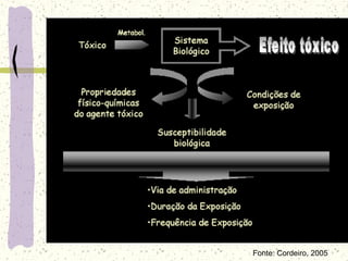 Fonte: Cordeiro, 2005
 