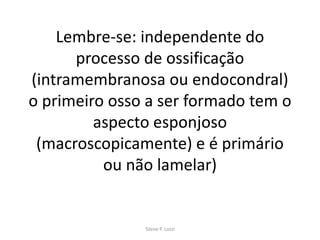 Lembre-se: independente do
processo de ossificação
(intramembranosa ou endocondral)
o primeiro osso a ser formado tem o
aspecto esponjoso
(macroscopicamente) e é primário
ou não lamelar)

Silene P. Lozzi

 