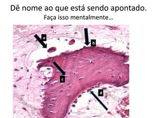 Dê nome ao que está sendo apontado.
Faça isso mentalmente…
a
b

c
d

Silene P. Lozzi

 