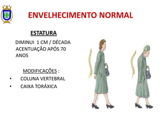 ENVELHECIMENTO NORMAL
ESTATURA
DIMINUI 1 CM / DÉCADA
ACENTUAÇÃO APÓS 70
ANOS
MODIFICAÇÕES :
• COLUNA VERTEBRAL
• CAIXA TORÁXICA
 