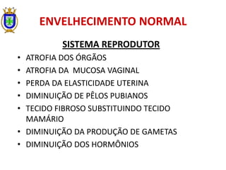 ENVELHECIMENTO NORMAL
SISTEMA REPRODUTOR
• ATROFIA DOS ÓRGÃOS
• ATROFIA DA MUCOSA VAGINAL
• PERDA DA ELASTICIDADE UTERINA
• DIMINUIÇÃO DE PÊLOS PUBIANOS
• TECIDO FIBROSO SUBSTITUINDO TECIDO
MAMÁRIO
• DIMINUIÇÃO DA PRODUÇÃO DE GAMETAS
• DIMINUIÇÃO DOS HORMÔNIOS
 