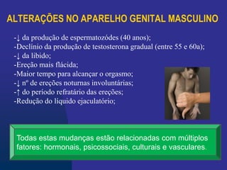 ALTERAÇÕES NO APARELHO GENITAL MASCULINO
-↓ da produção de espermatozódes (40 anos);
-Declínio da produção de testosterona gradual (entre 55 e 60a);
-↓ da libido;
-Ereção mais flácida;
-Maior tempo para alcançar o orgasmo;
-↓ nº de ereções noturnas involuntárias;
-↑ do período refratário das ereções;
-Redução do líquido ejaculatório;
Todas estas mudanças estão relacionadas com múltiplos
fatores: hormonais, psicossociais, culturais e vasculares.
 