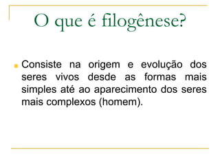 O que é filogênese?
Consiste na origem e evolução dos
seres vivos desde as formas mais
simples até ao aparecimento dos seres
mais complexos (homem).
 