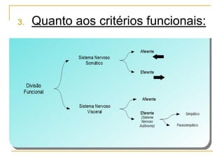 3. Quanto aos critérios funcionais:
 
