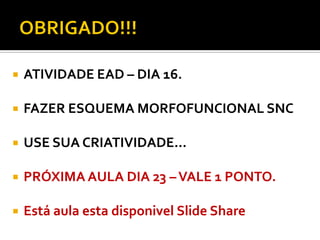  ATIVIDADE EAD – DIA 16.
 FAZER ESQUEMA MORFOFUNCIONAL SNC
 USE SUA CRIATIVIDADE...
 PRÓXIMA AULA DIA 23 –VALE 1 PONTO.
 Está aula esta disponivel Slide Share
 