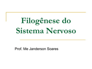 Filogênese do
Sistema Nervoso
Prof. Me Janderson Soares
 