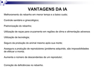 VANTAGENS DA IA
Melhoramento do rebanho em menor tempo e a baixo custo;
Controle sanitário e ginecológico;
Padronização do rebanho;
Utilização de raças para cruzamento em regiões de clima e alimentação adversos
Utilização de tecnologia;
Seguro da produção do animal mesmo após sua morte;
Assegura a produção de reprodutores (problema adquirido, são impossibilidades
de efetuar a monta;
Aumenta o número de descendentes de um reprodutor;
Correção de deficiências no rebanho.
 