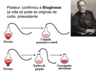 Pasteur: confirmou a Biogênese
(a vida só pode se originas de
outra preexistente
 