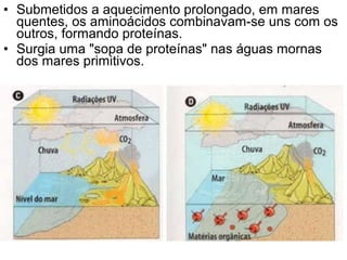 • Submetidos a aquecimento prolongado, em mares
  quentes, os aminoácidos combinavam-se uns com os
  outros, formando proteínas.
• Surgia uma "sopa de proteínas" nas águas mornas
  dos mares primitivos.
 
