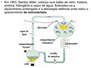 • Em 1953, Stanley Miller, colocou num balão de vidro: metano,
  amônia, hidrogênio e vapor de água. Submeteu-os a
  aquecimento prolongado e a descargas elétricas onde notou o
  aparecimento de aminoácidos.
 