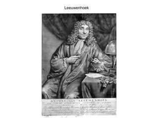 Leeuwenhoek
 