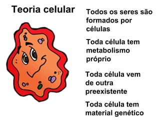 Teoria celular   Todos os seres são
                 formados por
                 células
                 Toda célula tem
                 metabolismo
                 próprio

                 Toda célula vem
                 de outra
                 preexistente
                 Toda célula tem
                 material genético
 