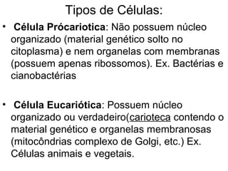 Tipos de Células:
• Célula Prócariotica: Não possuem núcleo
  organizado (material genético solto no
  citoplasma) e nem organelas com membranas
  (possuem apenas ribossomos). Ex. Bactérias e
  cianobactérias

• Célula Eucariótica: Possuem núcleo
  organizado ou verdadeiro(carioteca contendo o
  material genético e organelas membranosas
  (mitocôndrias complexo de Golgi, etc.) Ex.
  Células animais e vegetais.
 