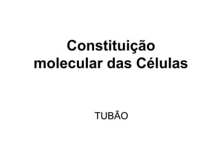 Constituição
molecular das Células


        TUBÃO
 