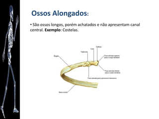Anatomia como arte
“O Corpo Humano como Nunca o Viu” - Gunther von Hagens
 