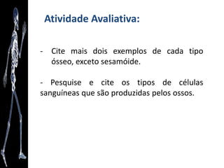 • Planos que tangenciam o corpo  Planos ventral, dorsal,
laterais, superior (cranial), inferior
(podálico/podáctilo/pododálico).
• Que atravessam o corpo planos sagital (ou mediano),
coronal (ou frontal), transversal (ou horizontal).
Planos anatômicos
 