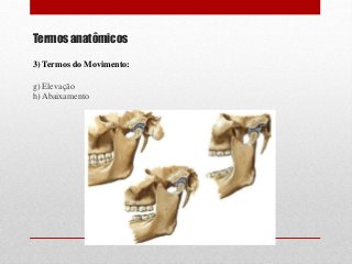 Termos anatômicos
3) Termos do Movimento:
g) Elevação
h) Abaixamento
 